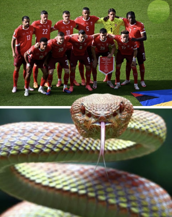 The Switzerland national team camp thrown into panic.